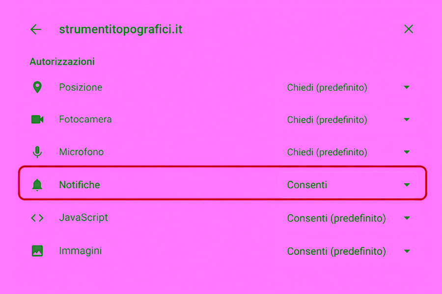 consenti le notifiche strumenti topografici