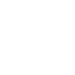 Icona TPad - Snap su punto topografico