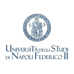 Logo Università degli Studi di Napoli - Federico II