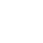 Icona peso 249 grammi