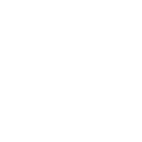 Icona Sensore 1in