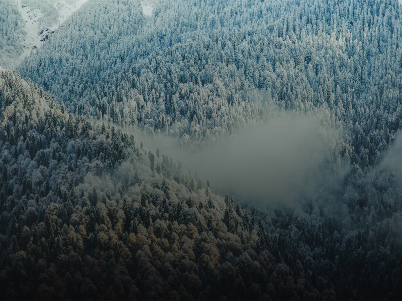 Ricerca-e-salvataggio-con-DJI-Zenmuse-H20-e-H20T